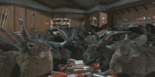 ="Nightlepus2"